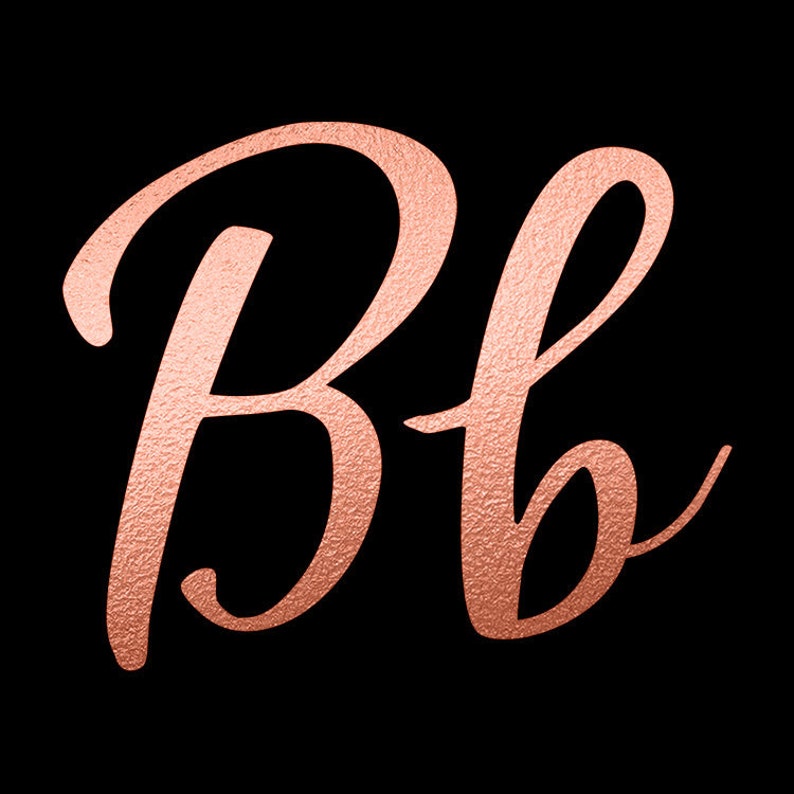 Rose Gold Alphabet Clip Art Rose Gold Letters Clipart Rose Etsy