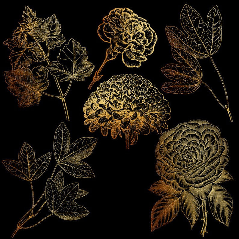 Gold Flower Overlays Gold Leaves Overlay Clipart Gold Floral Etsy