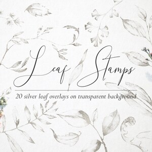 May include: A set of 20 silver leaf overlays on a transparent background. The leaves are drawn in a delicate, hand-drawn style and are perfect for adding a touch of elegance to your designs.