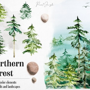 Clipart foresta acquerello, Clipart pino, Paesaggi della foresta settentrionale, Illustrazioni di alberi, Acquerelli, Clipart natura, sovrapposizioni PNG