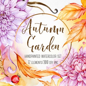 Autumn watercolor clip art, Chrysanthemum, Dahlia, Watercolour, Autumn clipart, Botanical clip art, Plant clipart, Hand painted, Flowers