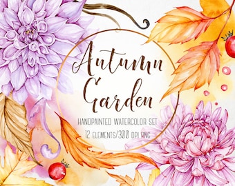 Autumn watercolor clip art, Chrysanthemum, Dahlia, Watercolour, Autumn clipart, Botanical clip art, Plant clipart, Hand painted, Flowers