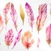 Pink Feathers With Gold, Hand Painted Watercolor Feathers Clipart, Gold ...