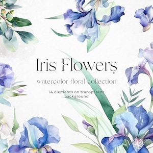 Aquarel iris bloemen, Iris ontwerpelementen, Floral clipart, Botanische lente clipart, Blauwe iris bloemen, Transparante png overlays