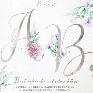 Acheter 3 payer pour 2, Lettres d’argent avec éléments floraux d’aquarelle, Clipart de l’alphabet d’argent, Image de clip de police d’argent, Lettres majuscules de monogramme