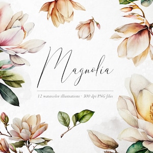 Watercolor magnolia flowers, Magnolia design elements, Floral clipart, Botanical spring clipart, Pink flowers, Transparent png overlays