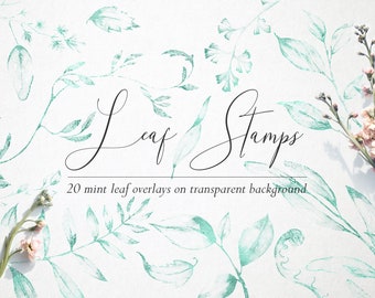 Mint floral stamp overlays, Mint foil stamps, Mint green leaves, Mint flowers, Mint floral overlays, Floral design elements, Leaf stamps,PNG