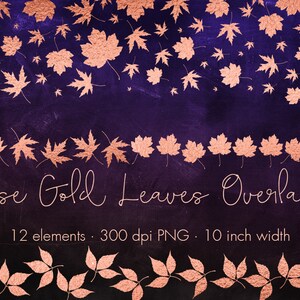 Rosegoud bladoverlays, Rose gouden bladeren clipart, Herfst clip art, Rose gouden bladeren, Rose goud clipart, Rose goud overlays, Rose goud folie