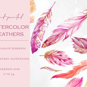 Pink Feathers With Gold, Hand Painted Watercolor Feathers Clipart, Gold ...
