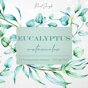 Watercolor eucalyptus clipart, Eucalyptus design elements, Hand painted eucalyptus, Watercolor floral clip art, Eucalyptus leaves, PNG