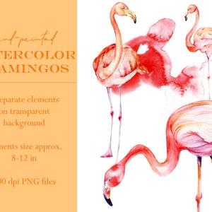 Puede incluir: Pintura de acuarela de ocho flamencos rosas sobre un fondo blanco. Los flamencos est&aacute;n en varias poses, algunos de pie sobre una sola pierna y otros con las alas extendidas. La pintura est&aacute; pintada a mano y tiene un efecto suave de acuarela.