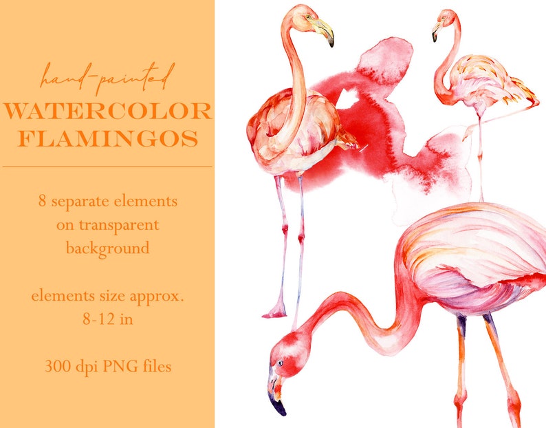 Puede incluir: Pintura de acuarela de ocho flamencos rosas sobre un fondo blanco. Los flamencos est&aacute;n en varias poses, algunos de pie sobre una sola pierna y otros con las alas extendidas. La pintura est&aacute; pintada a mano y tiene un efecto suave de acuarela.