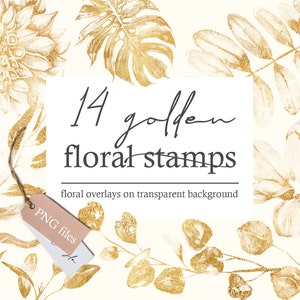 Gold Blumen Stempel Overlays, Gold Folien stempel, Gold Blätter, Gold Blumen, Gold Floral Overlays, Floral Design Elemente, Monstera, PNG