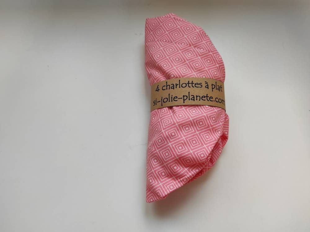 Lot 4 Charlottes à Plat Zéro Déchet