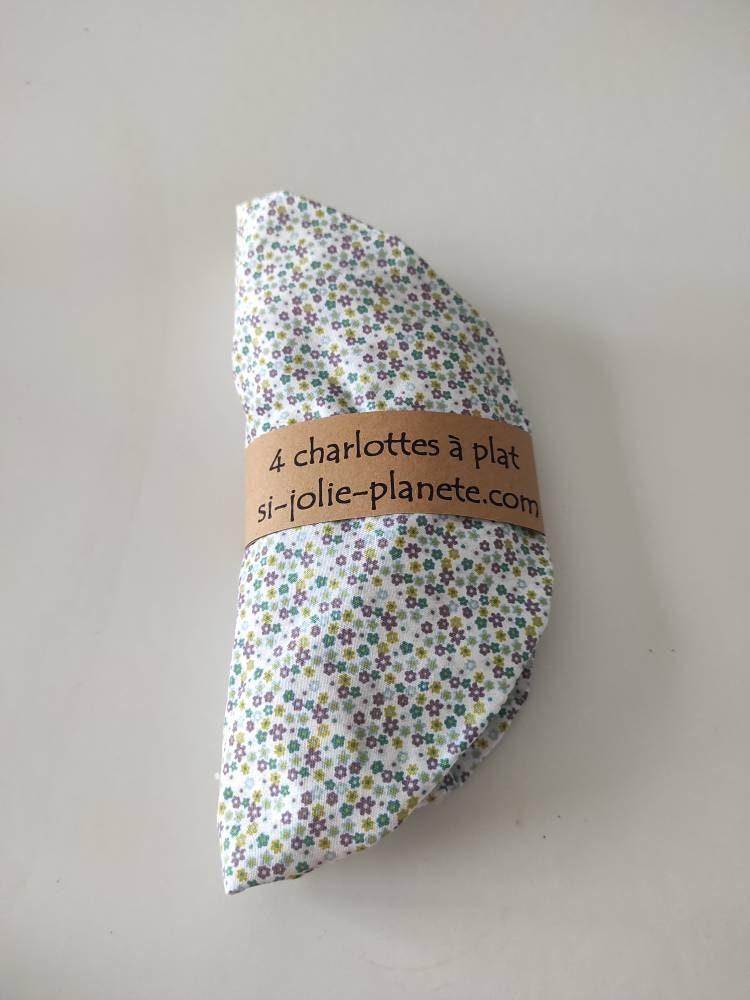 Lot 4 Charlottes à Plat Zéro Déchet
