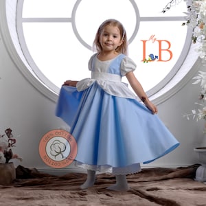 Aschenputtel-Mädchen Kleid, Halloween-Kleid, personalisiertes Geschenk Blaue Prinzessin Kostüm für Mädchen, Kleinkind Prinzessin Kleid ersten Geburtstag Party Kleid