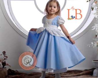 Cinderella Girl Dress, Halloween Dress, Personalized Gift
