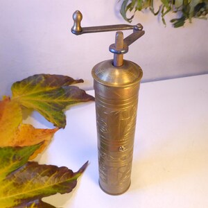 Puede incluir: Un molinillo de pimienta de latón antiguo con manivela. El cuerpo cilíndrico presenta patrones florales grabados. El molinillo es de color dorado cálido y está en posición vertical. La manivela y la parte superior son de metal más oscuro y envejecido. Hojas de otoño en el fondo.