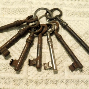 Makhry Gemischte 30 Vintage Schlüssel Hochzeit Schlüssel Santa Schlüssel  Weihnachts Schlüssel Alte Schlüssel für Hochzeit/Weihnachts  Dekoration(Antikes Verdigris) : : Küche, Haushalt & Wohnen