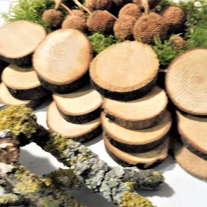 Disco a fetta di tronchi di legno da 10 pezzi 3-4 cm fai da te