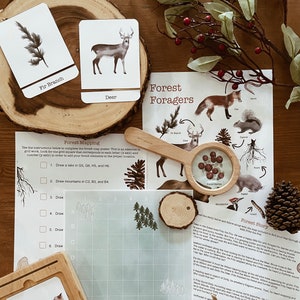 May include: A forest-themed educational game for kids featuring a grid map, animal cards, and a story about a fox named Fritz. The game includes instructions for completing the map and a story about Fritz's adventures in the forest.