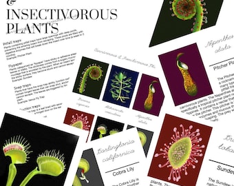 Plantas carnívoras e insectívoras