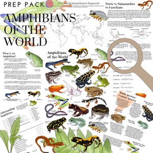 Amphibians of the World Prep Pack image 1