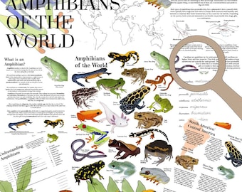 Amphibians of the World Prep Pack