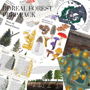 Boreale Wälder Prep Pack