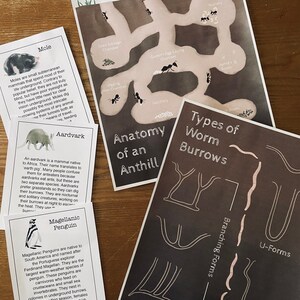 May include: An illustrated guide to the anatomy of an anthill, showing different chambers and functions. The guide also includes illustrations of different types of worm burrows, including branching, U-shaped, and helical forms.