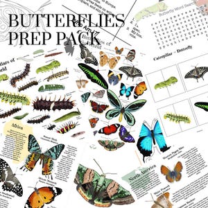 May include: A printable butterfly prep pack with colorful illustrations of butterflies and caterpillars from around the world. The pack includes a word search, a matching game, and a butterfly life cycle chart.  The text on the page reads "Butterflies Prep Pack I Am 7 Butterflies of the World".