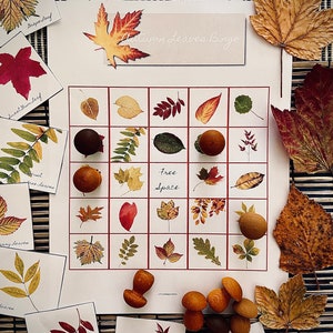 Könnte beinhalten: Ein Bingospiel mit einer weißen Karte, die verschiedene Herbstblätter zeigt. Die Karte hat ein freies Feld und ist von kleinen Holzmarkern und Karten mit Blattillustrationen und Namen umgeben.