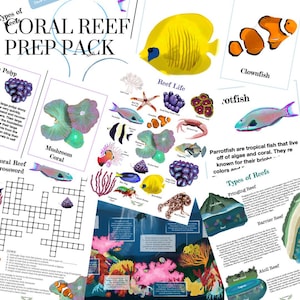 Coral Reef Prep Pack