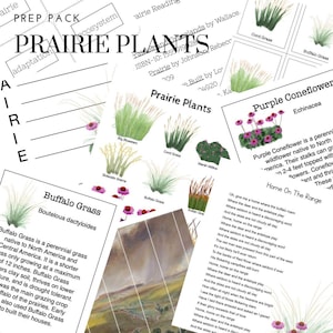 Paquet de préparation de plantes des prairies