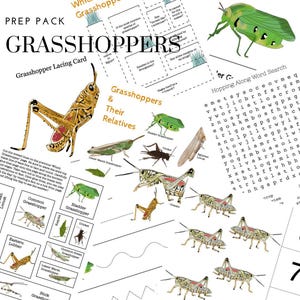 May include: A printable educational activity pack for children featuring a grasshopper lacing card, a word search puzzle, and a variety of grasshopper and relative insect illustrations. The pack includes the text "Grasshoppers & Their Relatives".