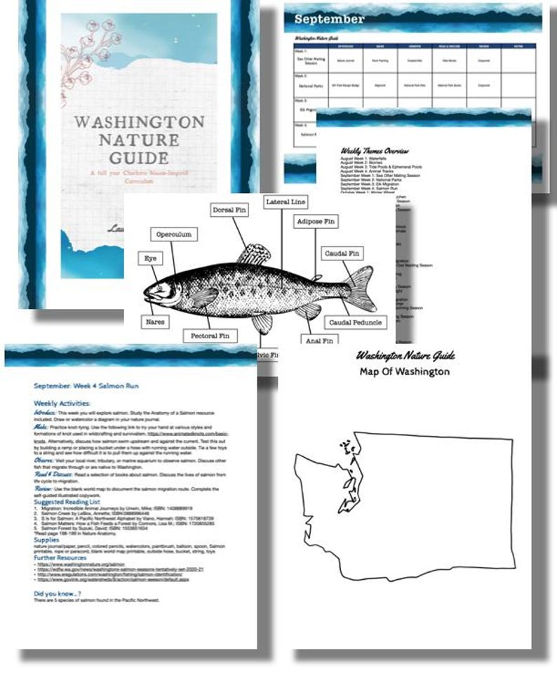 Wa Fish Guide.pdf Washington Nature Guide - Etsy