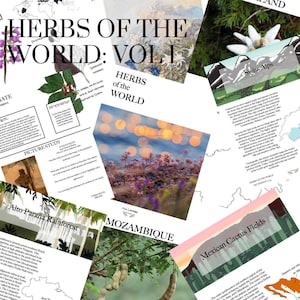 Kräuter der Welt Vol 1