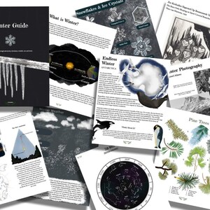 Peut inclure: Une collection d'illustrations en noir et blanc sur l'hiver. Les illustrations comprennent des flocons de neige, des cristaux de glace, des pins, un soleil d'hiver et une carte de l'Antarctique. Le texte "Winter Guide" est en haut de la page.
