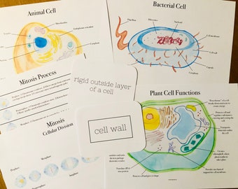 Cell Guide