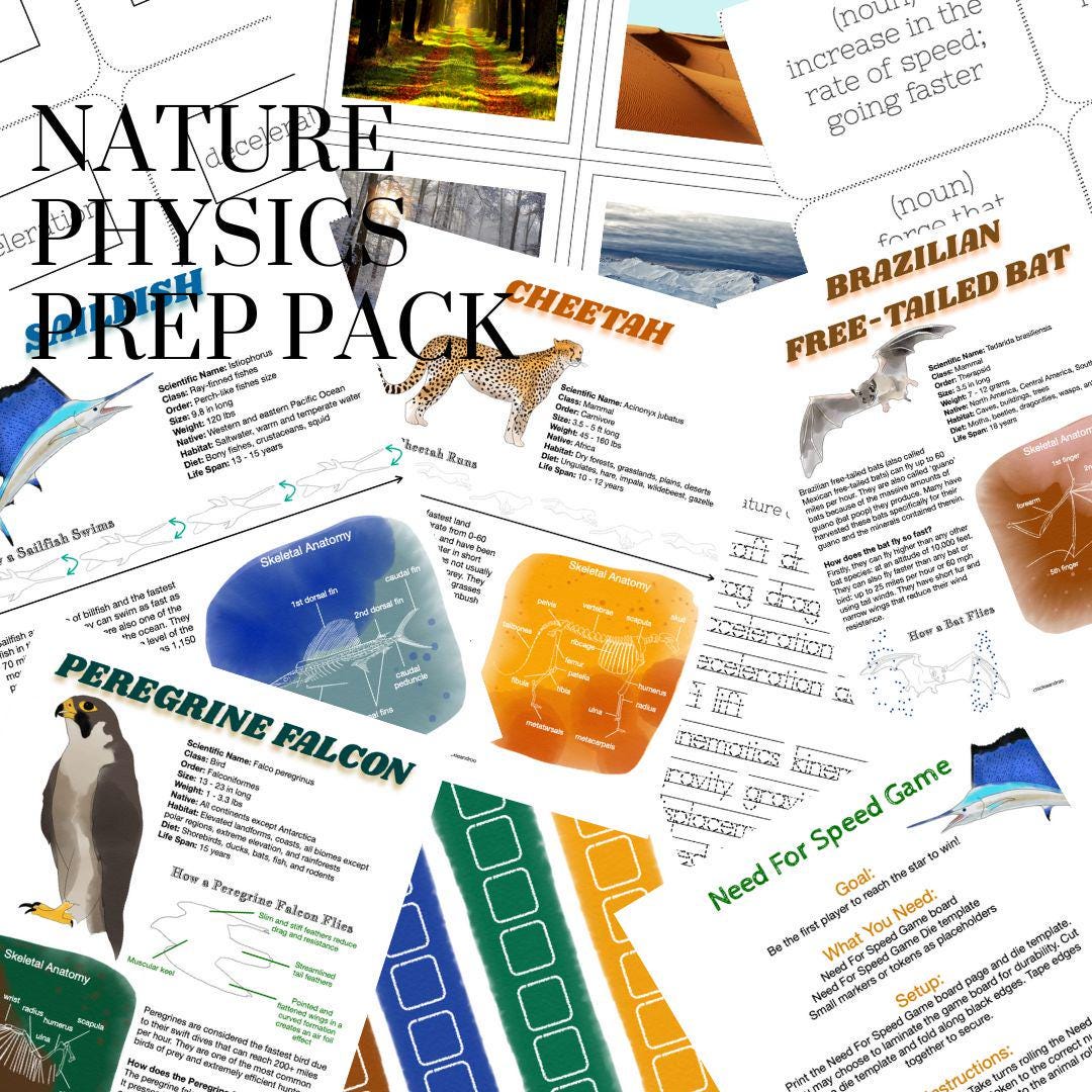 Prep Pack: Nature of Physics - Etsy
