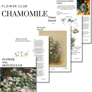 May include: A nature journal page with a watercolor illustration of chamomile flowers. The page includes a poem titled "The Autumn" by Elizabeth Barrett Browning. The journal also includes a distribution map, information about the seeds, and instructions for naturally dyeing wool with chamomile.