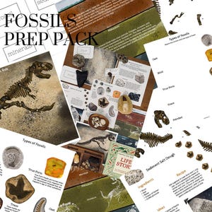 Prep Pack: Fossils