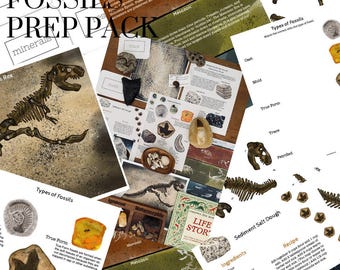 Prep Pack: Fossils