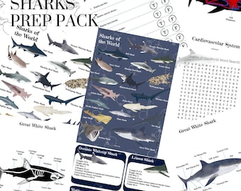 Sharks of the World