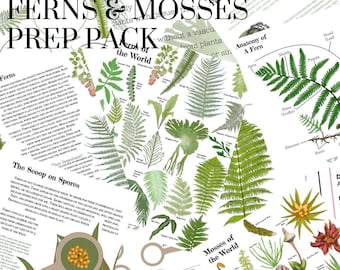 Ferns & Mosses of the World