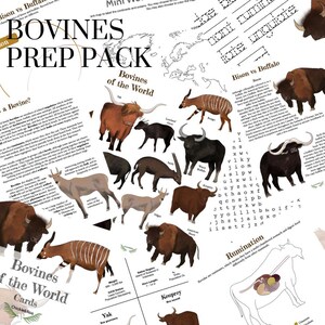 May include: A colorful printable educational resource for learning about bovines. The resource includes a map of the world, a word search, a word puzzle, and a set of cards featuring different types of bovines. The text includes the words "Bovines of the World" and "Bovines Prep Pack".