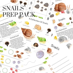 Snail Collection