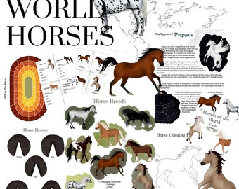 World Horses Prep Pack