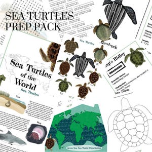 Sea Turtles of the World Prep Pack