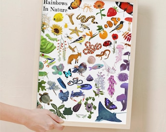 Nature&#39;s Rainbow Poster